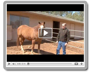 gary Marrokal Video