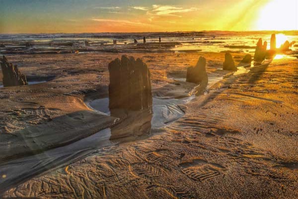 torrey pines beach San Diego Ranks In Top 20 Places To Celebrate Valentines Day Without Breaking The Bank