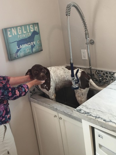 pet friendly home remodeling Pet Friendly Remodeling Ideas Animals Sure Love