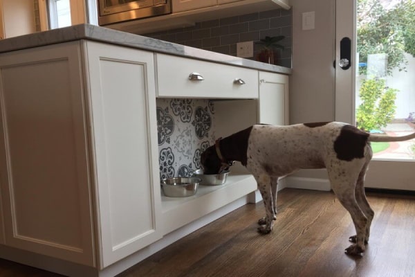 Pet Friendly Remodeling Ideas Animals Sure Love 